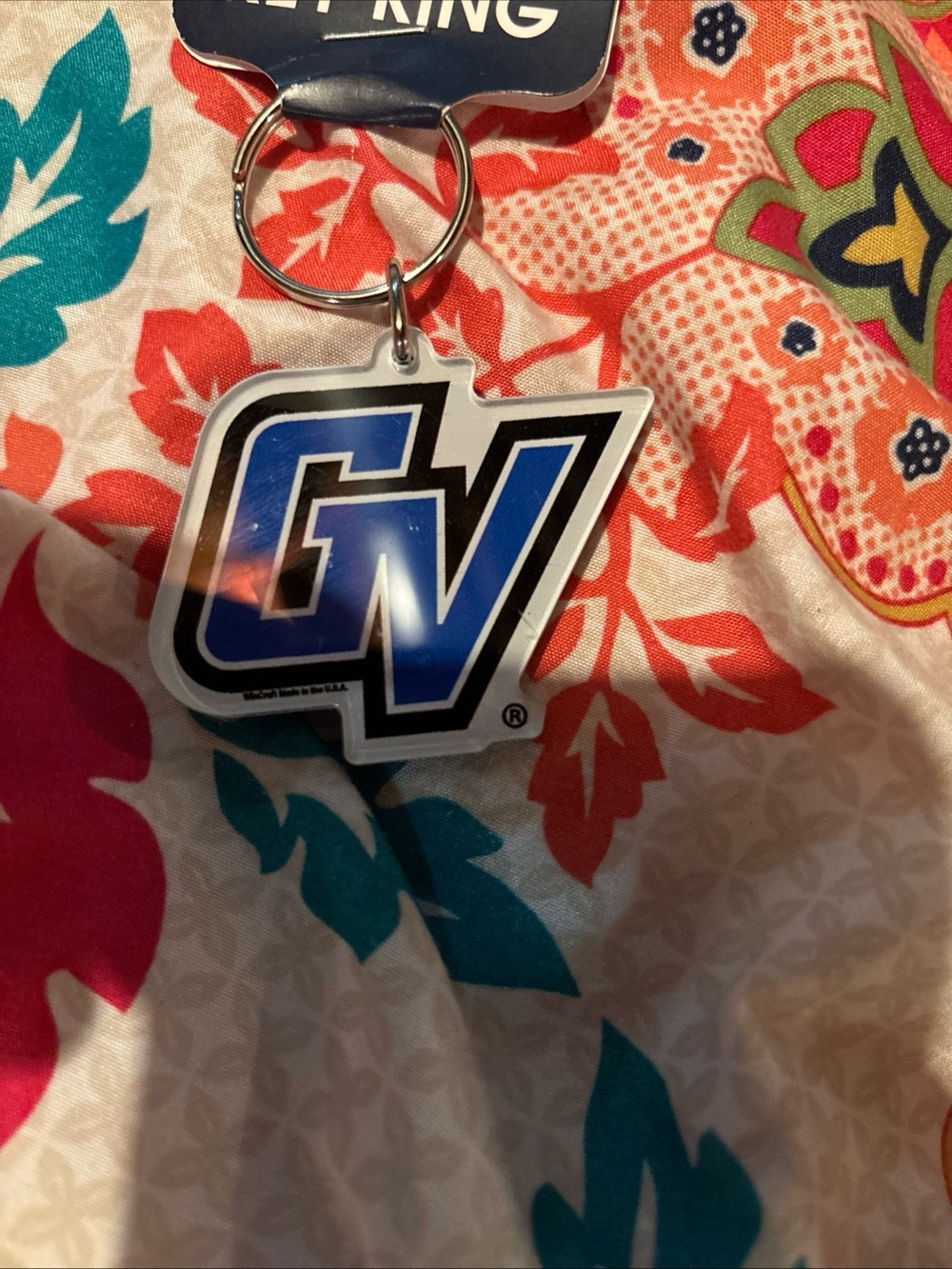 Grand valley state lakers key ring chain ships fast brand new